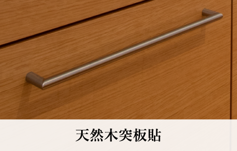 扉(上位グレード)